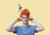 Fliegen Fögel falsch?